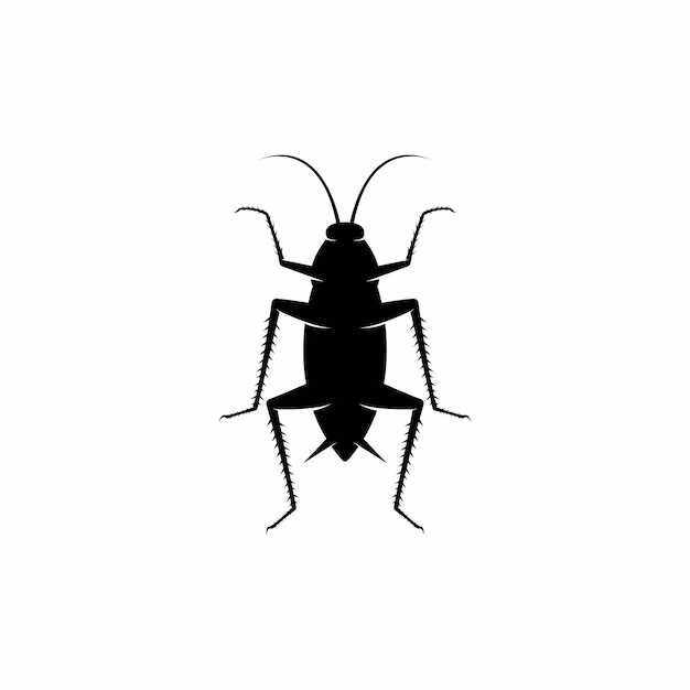 Cockroaches