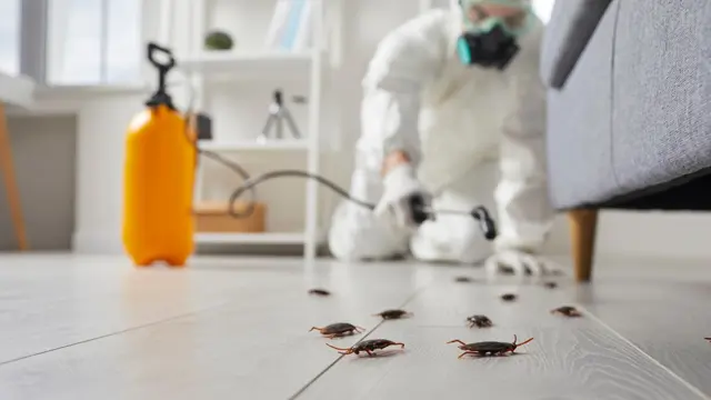Cockroaches Control