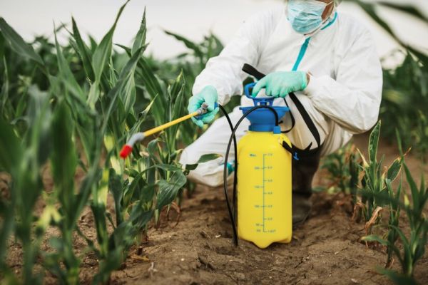 Integrated Pest Management
