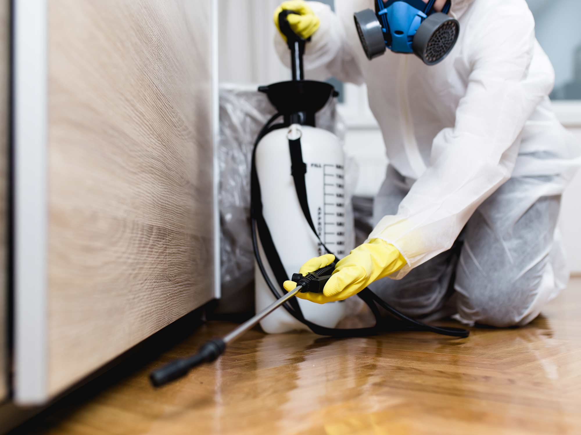 Residential Pest Control